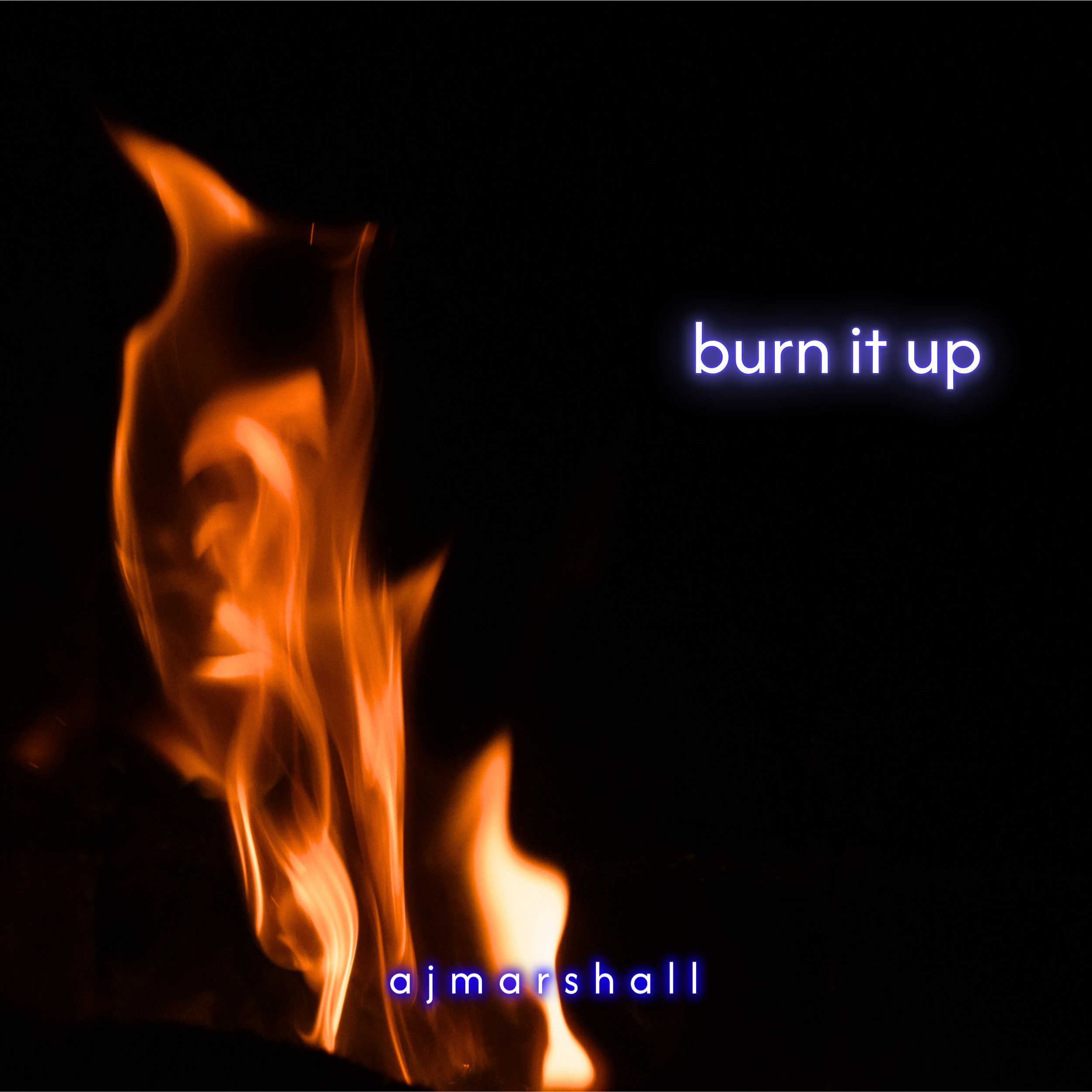 Cover art - BURN IT UP